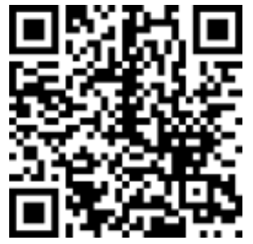 PayPal QR Code